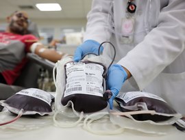 Junho Vermelho, mês de conscientização para doação de sangue, pode virar lei