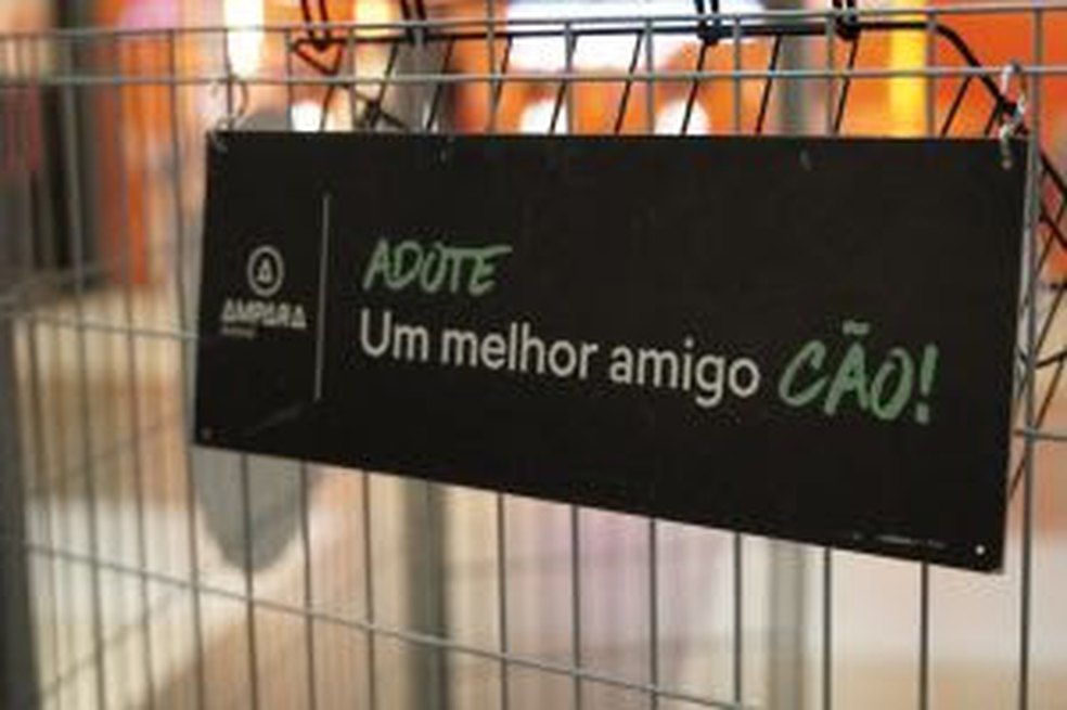 Jornalismo