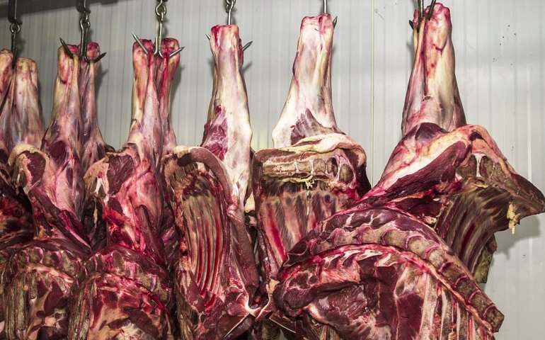 China abre investigação sobre importação de carne bovina