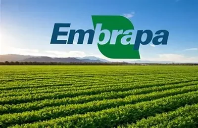 Embrapa apresenta estratégias agropecuárias contra os impactos do El Niño nas cinco regiões do país