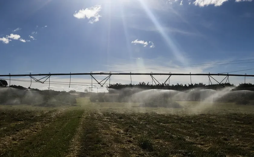 Brasil firma acordos de cooperação Agropecuária com Japão, Portugal e Azerbaijão