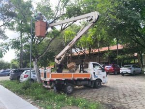 Serviços têm previsão para serem finalizados até a quarta-feira (13). Foto: Ascom Ilumina