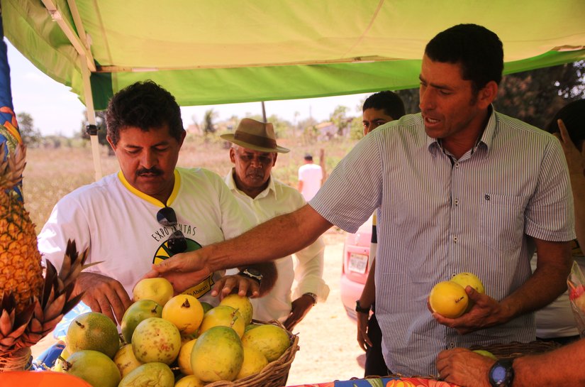 Agricultores familiares divulgam produtos na 1ª Expo Frutas de Arapiraca