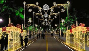 DECORAÇÃO NATAL PARQUE DA SEMENTEIRA