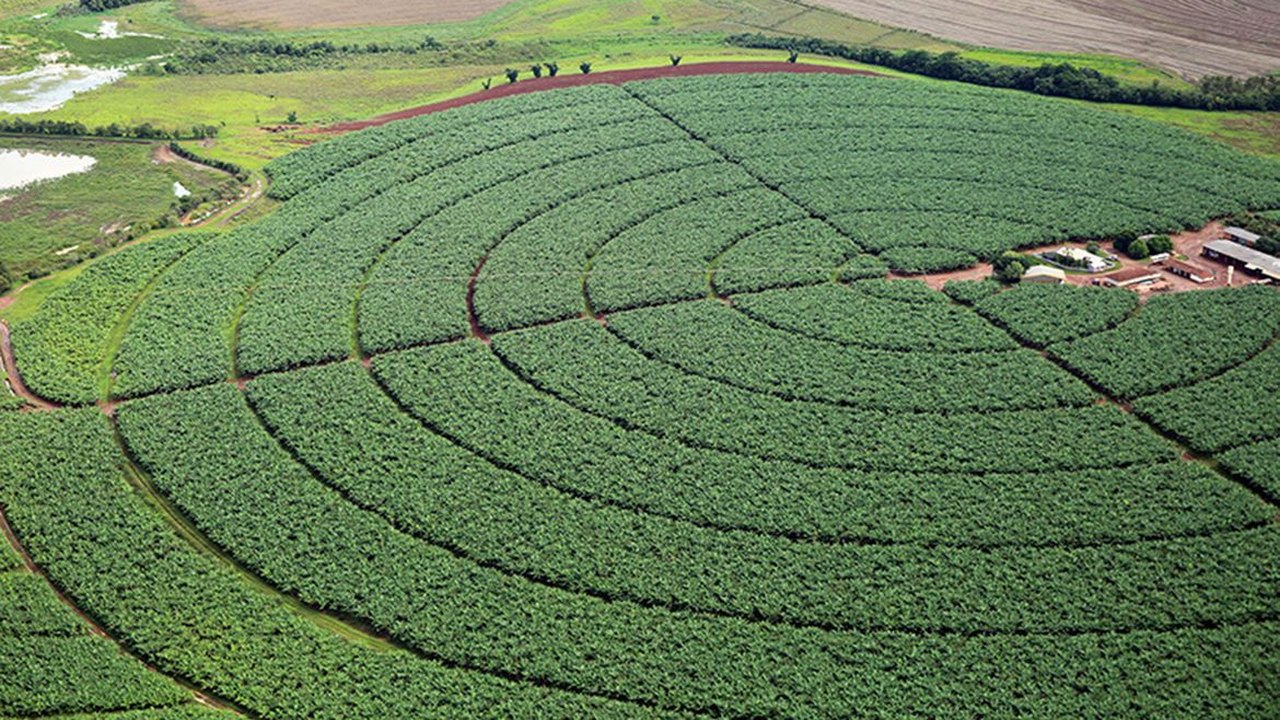 Empresa desenvolve ferramenta tecnológica para auxiliar agricultura em AL