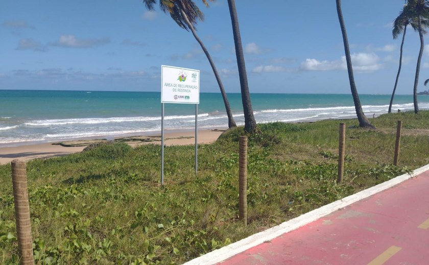 Projeto 'Salsa Viva' resgata natureza costeira de Alagoas