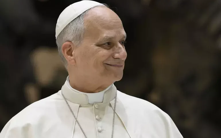 Papa Leão XIV defende que aborto é 'maior destruidor da paz'