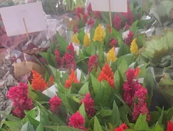 WhatsApp Image 2026-04-14 at 13.26.35.jpeg 