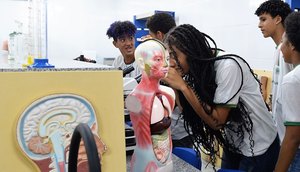 Alese aprova Programa de Educação Profissional e Tecnológica para jovens e adultos / Foto: Foto: Governo de Sergipe/ Divulgação