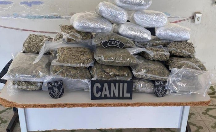 Droga foi encontrada em mala dentro de um ônibus