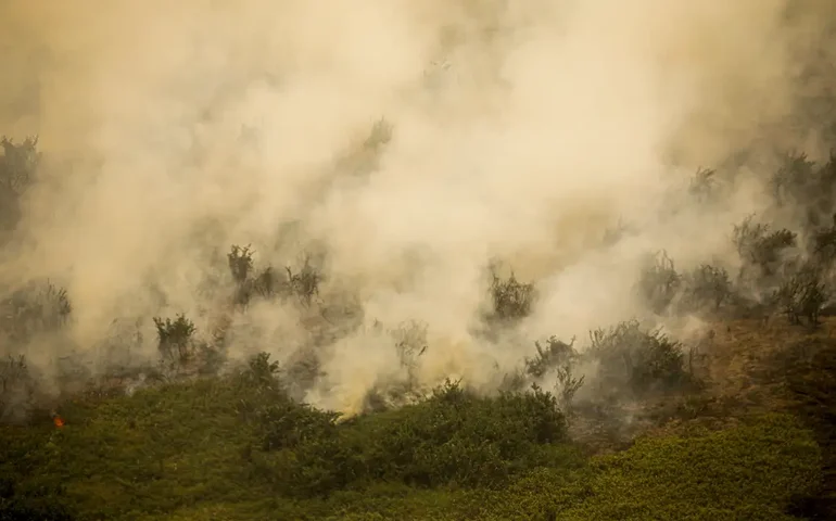 Pantanal tem este ano maior área queimada em junho