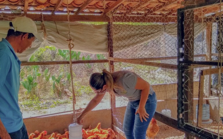 Emater e FAPEAL lançam seleção pública com 20 vagas para bolsistas