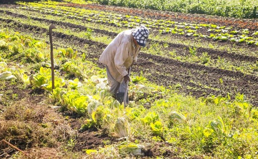 Lago: Agricultura entrará na agenda de ações da COP30, mas não nos textos que serão negociados
