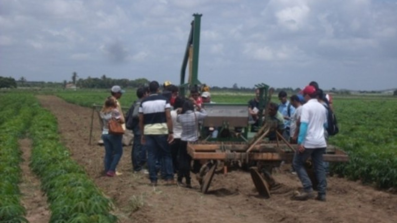 Emater apresenta, nesta terça (1º), informações sobre a atuação da agricultura em 2020