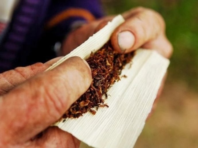 Norma estimula formalização do comércio do fumo de corda em Alagoas