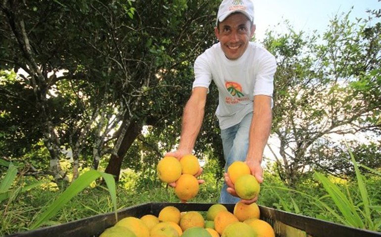 Estrela de Alagoas: Seminário de fruticultura capacita produtores