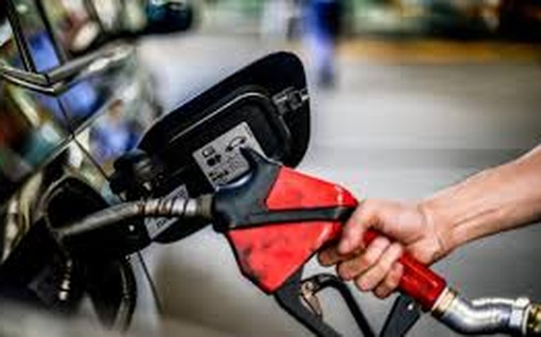 IBP: Testes para mistura do biodiesel precisa refletir diferentes realidades do Brasil