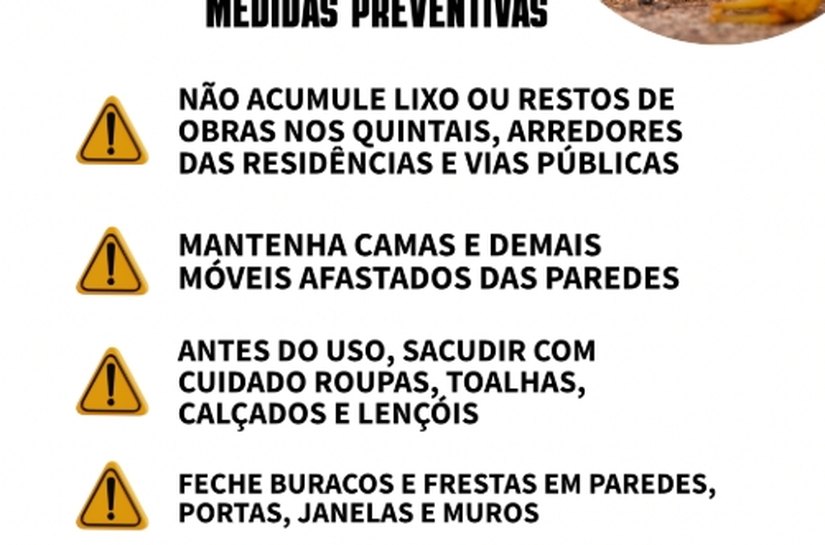 Palmeira: Educação da população é determinante para evitar proliferação dos animais peçonhentos