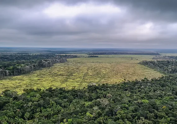 Estudo quer fim do desmatamento legal para zerar gases estufa no país 