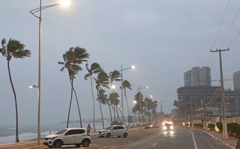 Ilumina Maceió alerta sobre cuidados com a rede elétrica