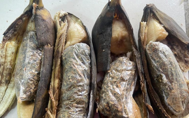 Policiais penais flagram esposa e mãe de reeducando com bananas recheadas de maconha