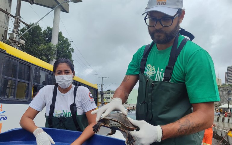 Biota ajuda no resgate de Cágados no Riacho Salgadinho