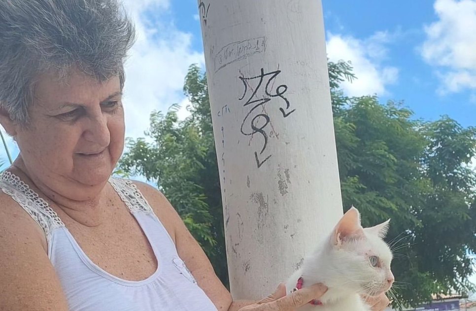 WhatsApp Image 2024-03-20 at 16.30.19 / Foto: Foto: Instagram/Nazaré Moraes