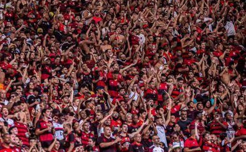 Pesquisa mostra que Flamengo e Corinthians têm as maiores torcidas do Brasil