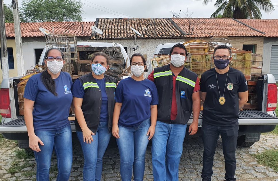 apreensão animais silvestres