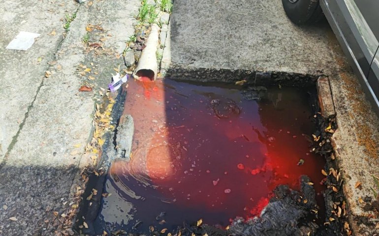 PCAL prende síndico em flagrante por crime ambiental em Maceió