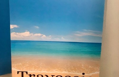 Jornalista Eliana Custódio lança “Travessia”, um livro sobre recomeços, amor e esperança