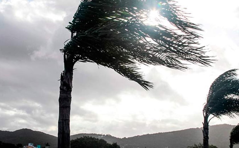 Inmet emite alerta de vendaval para Água Branca, Canapi, Delmiro Gouveia, Inhapi, Mata Grande e Pariconha