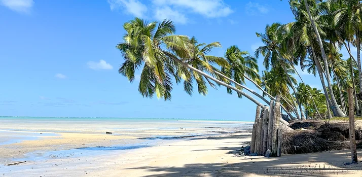 Copa em Alagoas
