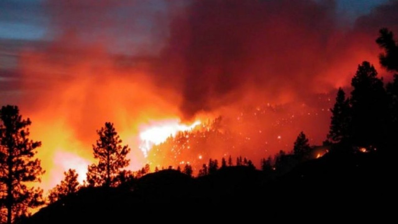 Incêndios florestais assolam Bordeaux; piloto de Bombeiros morre em Portugal