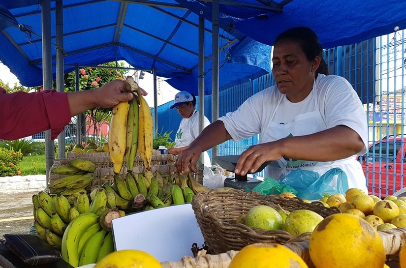 Feira de orgânicos oferece produtos de qualidade à população