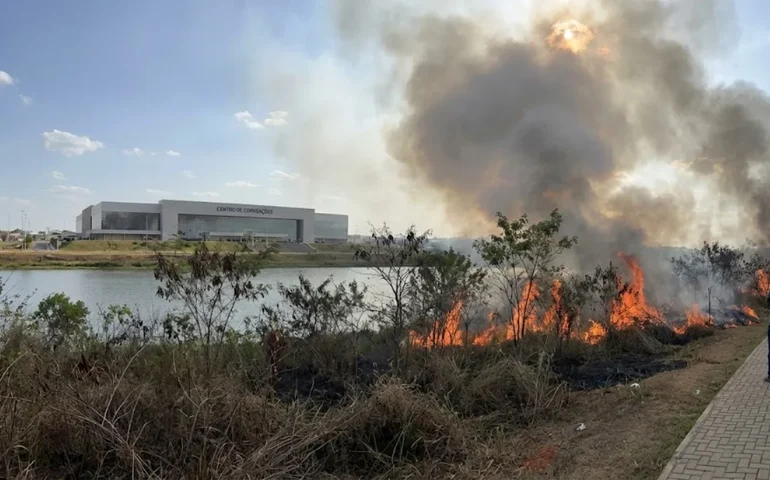 Incêndio de grandes proporções atinge área ao lado do Lago da Perucaba e assusta moradores em Arapiraca