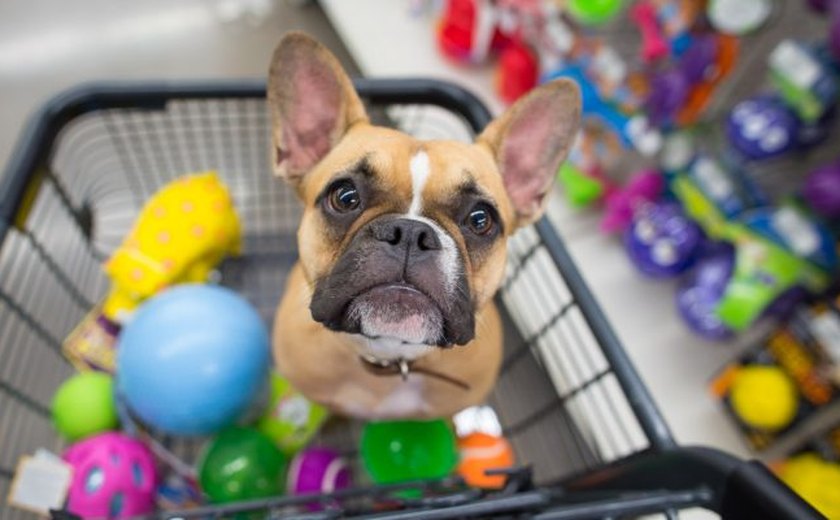 Embalagens de produtos 'pets' em Alagoas podem ganhar canais de denúncias de maus-tratos