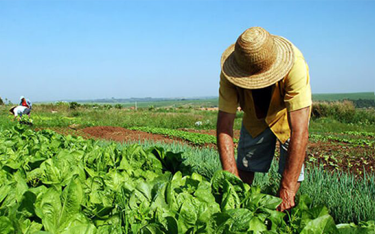 Cartilha sobre o retrato da agricultura familiar em Alagoas será lançada em Maceió