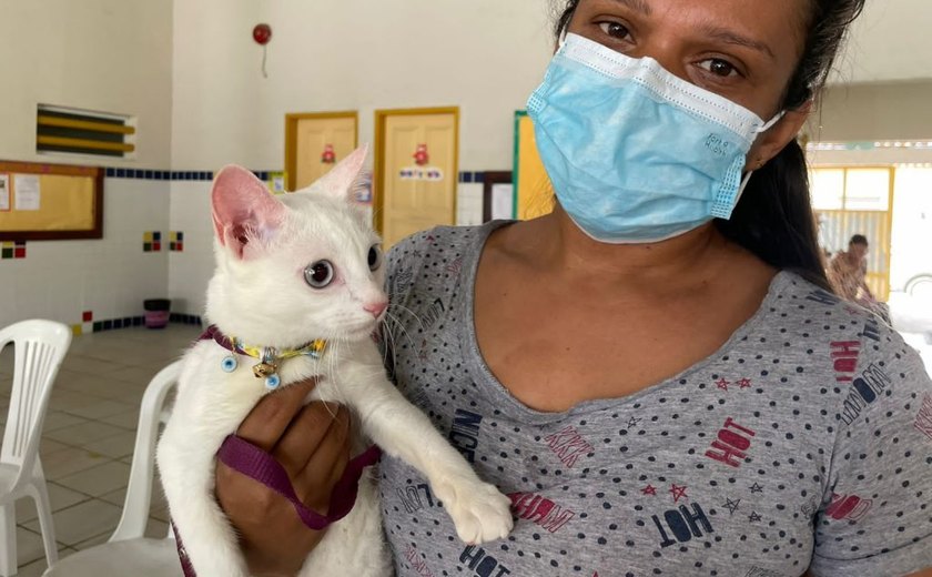 Meu Pet Amigo: mais de cem animais são cadastrados no primeiro dia de ação do castramóvel
