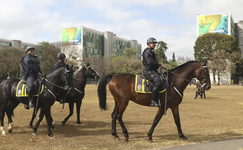 Policial cai do cavalo e morre prestes de participar de desfile de 7 de setembro em SP 