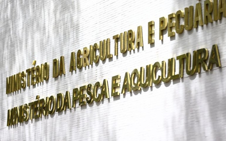 Defesa sanitária: Agricultura identifica praga quarentenária da mandioca no Amapá