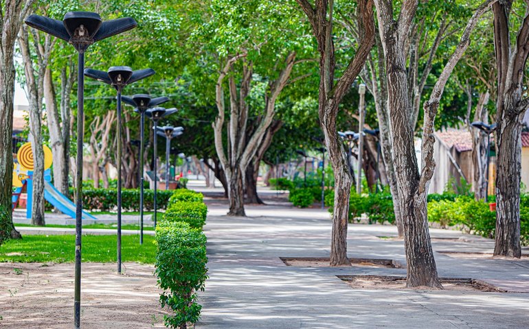 Inscrições abertas: Arapiraca sedia o XI Encontro Nordestino de Arborização Urbana em julho
