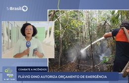 Flávio Dino autoriza orçamento de emergência para combater incêndios