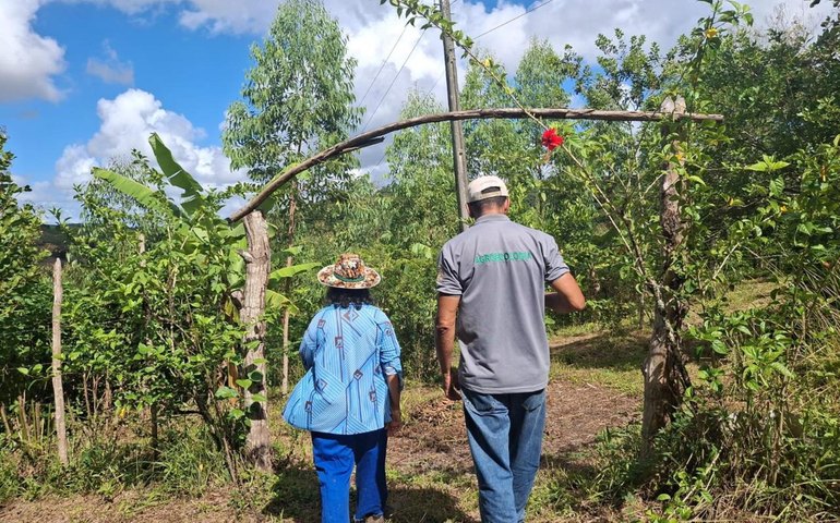 Serviços Ambientais: IMA paga 1ª parcela do programa e garante preservação em Alagoas