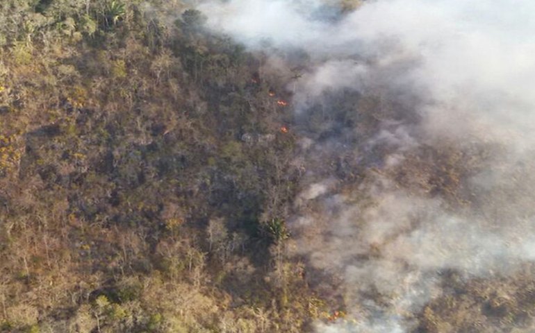 Incêndio devastou mais de 150 hectares na Mata dos Frios, em União dos Palmares