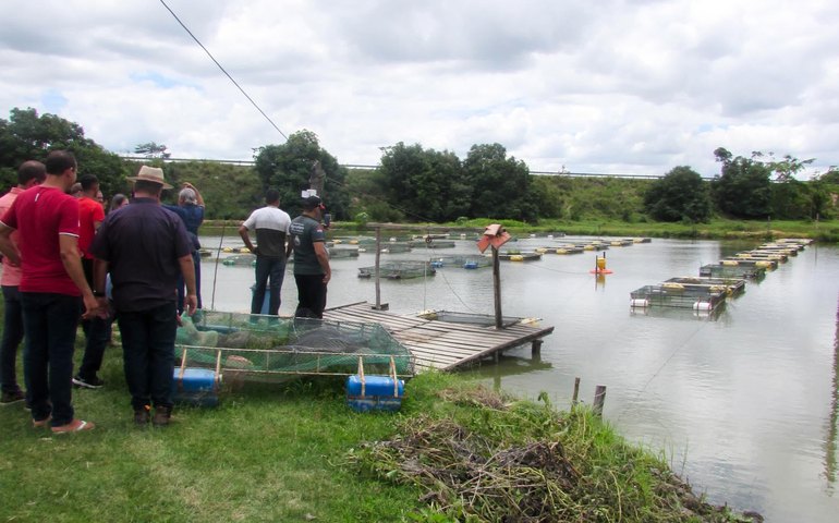 Secretaria de Agricultura promove Dia de Campo para fortalecer piscicultura