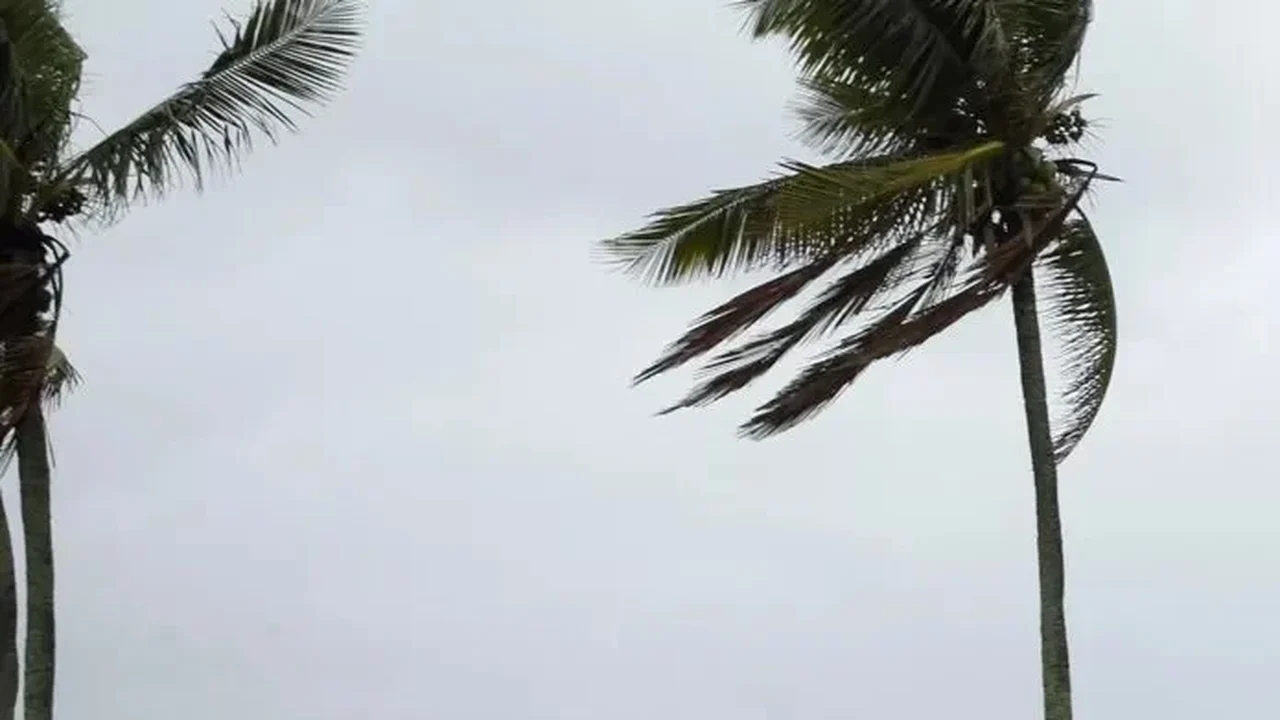 Ciclone provoca queda de árvores e interdições de ruas no Rio