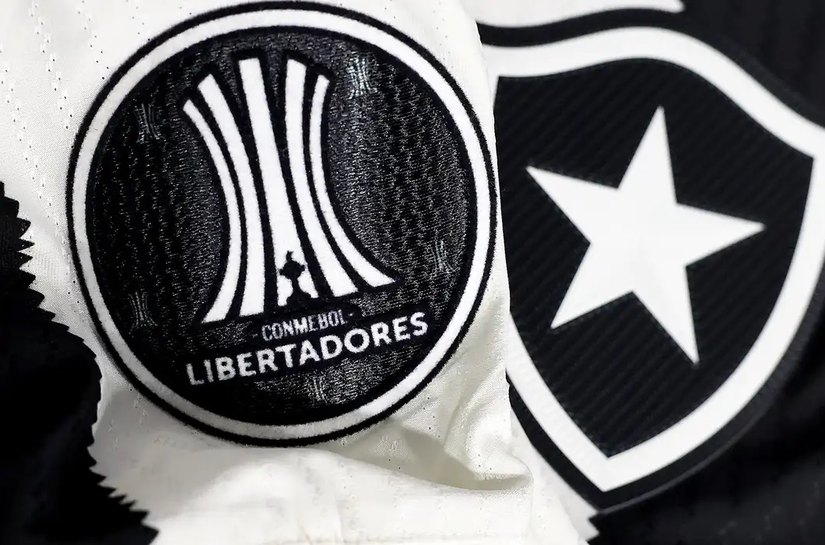 Botafogo irá banir torcedor que cometeu racismo contra Palmeiras