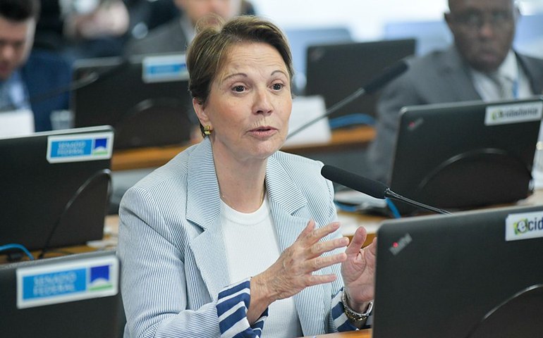 'Conversei com Alcolumbre e sessão de vetos está mantida', disse Tereza Cristina