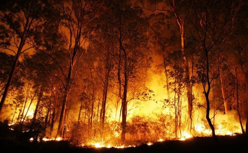 Incêndio na Grécia já é considerado o maior da União Europeia